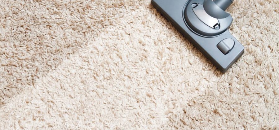 Imagens de serviços realizados pela O Higienizador